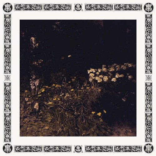 Pale Bloom