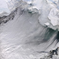 2014