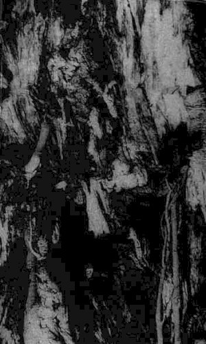 Carved Cross / Empire of Hate