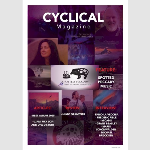 Cyclical Magazine 19