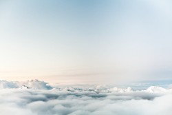 The Inexorable Quest for New Lands