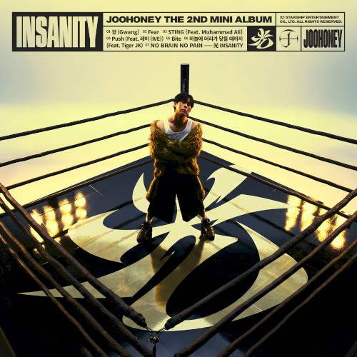 光 (INSANITY)