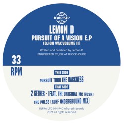 Pursuit Of A Vision