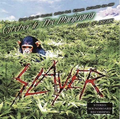Catcher in the Marijuana