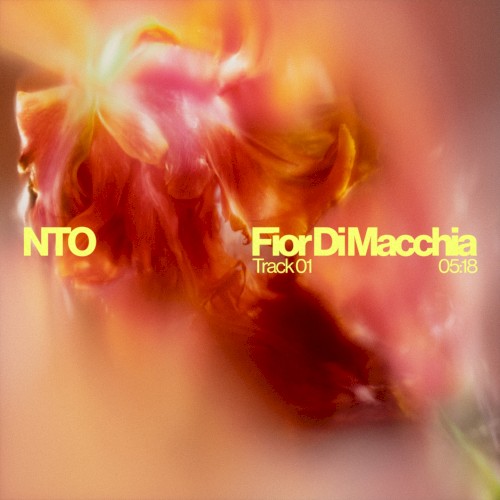 Fior Di Macchia