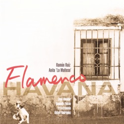 Flameno Havana
