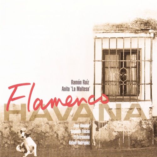 Flameno Havana