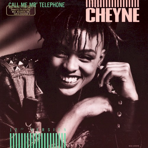 Call Me Mr. Telephone