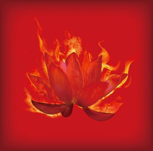 Crimson Lotus