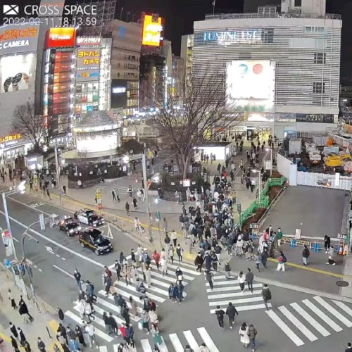 【LIVE(固定)】新宿猫の目線（新宿駅東口） ライブカメラ 195 watching now Started streaming on Nov 30, 2021