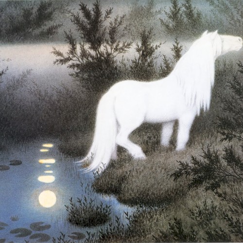 Aquaticus
