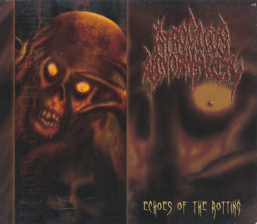 Echoes of the Rotting
