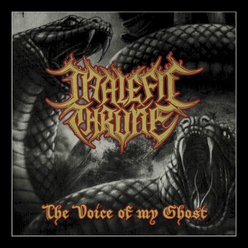 The Voice of My Ghost