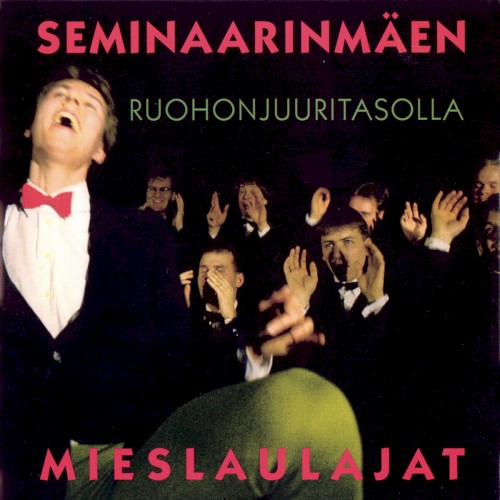 Ruohonjuuritasolla