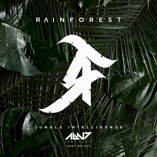 Jungle Intelligence EP