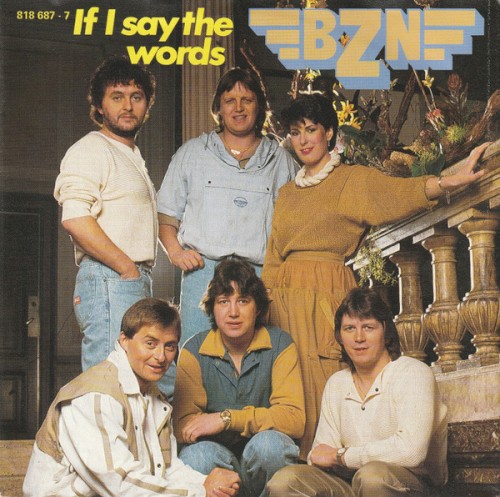 If I Say the Words