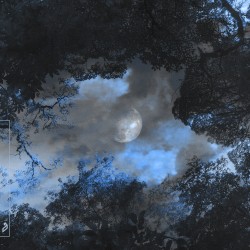 Holding Me Back (The Kite String Tangle’s stripped back version)