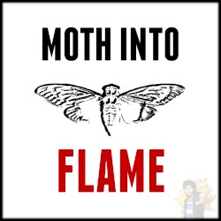 Moth Into Flame