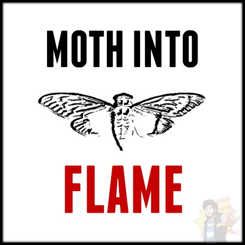 Moth Into Flame