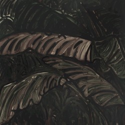 Entagled in Vines