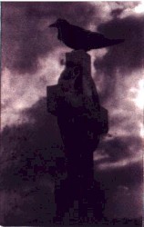 Lost in Shadow Grim