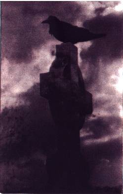 Lost in Shadow Grim