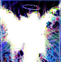 анସୂର୍ଯ୍ୟгел