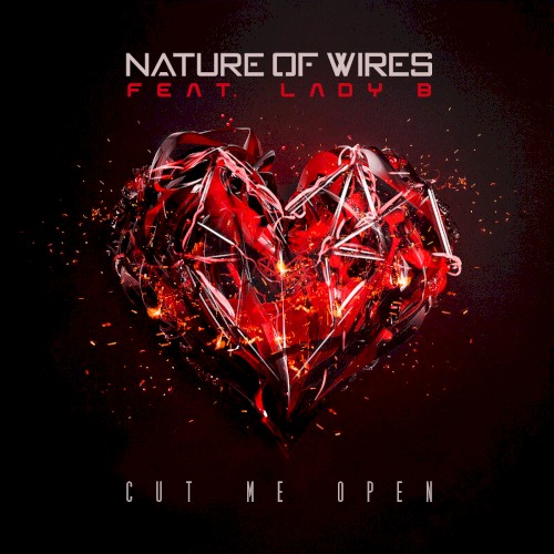 Cut Me Open
