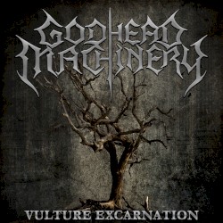Vulture Excarnation