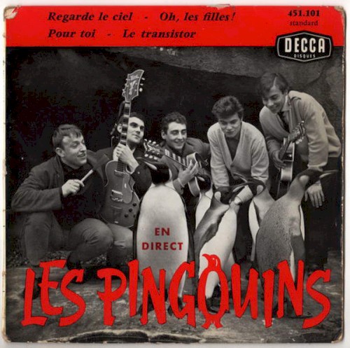 Les Pingouins en direct
