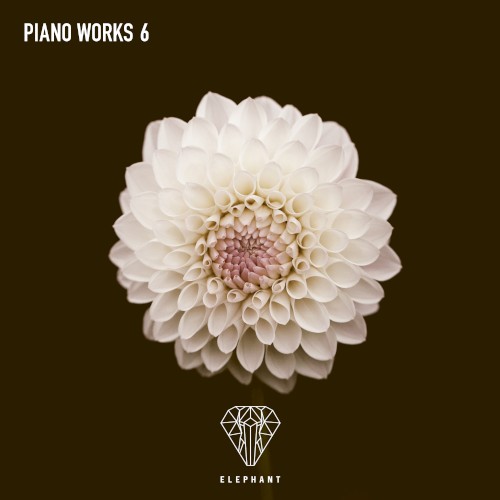 Piano Works 6