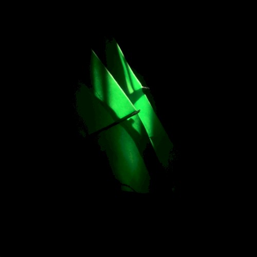 Green Light Source