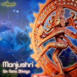 Om Namo Shiva