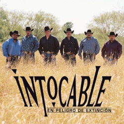 En peligro de extinción