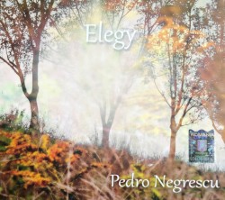 Elegy