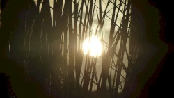 directly at the sun iii
