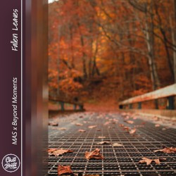 Fallen Leaves