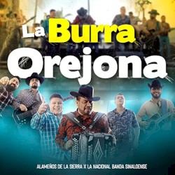 La burra orejona