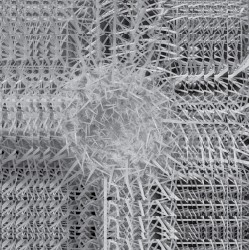 sunnk///Tusk Mite