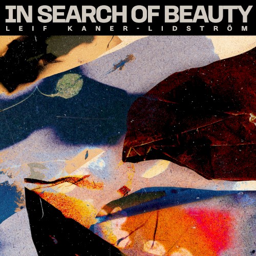 In Search of Beauty