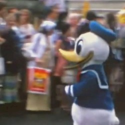 Attention ~ Canard Géant