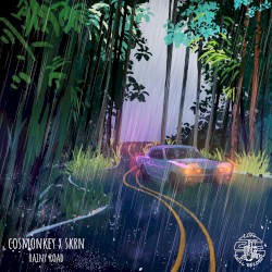 Rainy Road