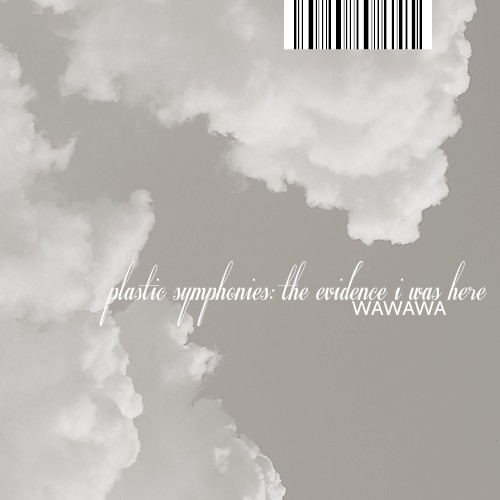 plastic symphonies: the evidence i was here