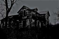 Haunted Woods