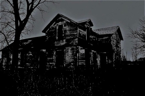 Haunted Woods