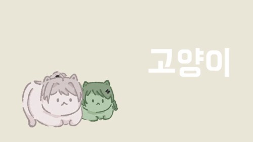 고양이