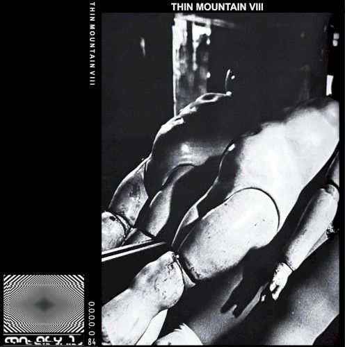 VIII
