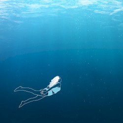 Seafoam