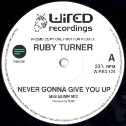 Never Gonna Give You Up