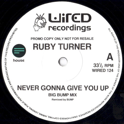 Never Gonna Give You Up